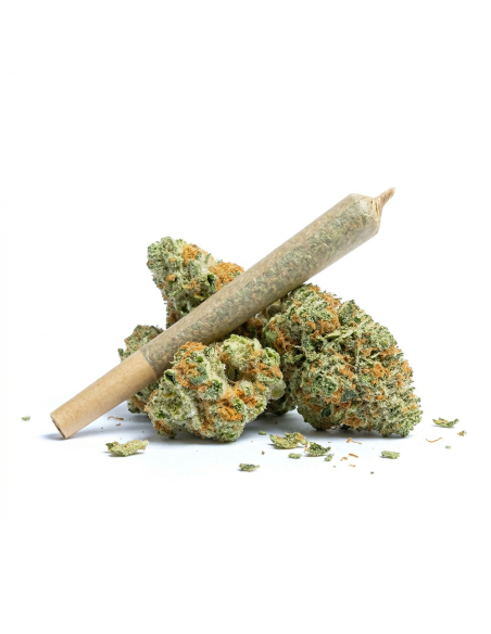 Pre-Roll THCX Runtz main