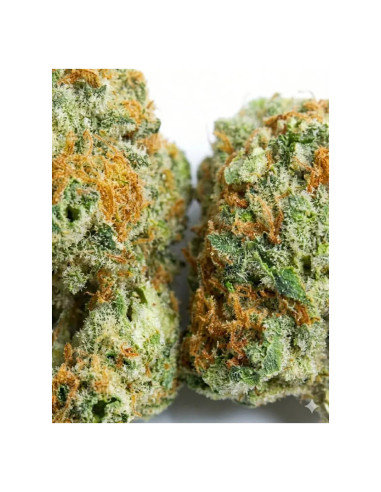 Pre-Roll THCX Runtz 2