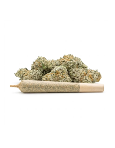 Pre-Roll THCX Vanilla Kush side 2