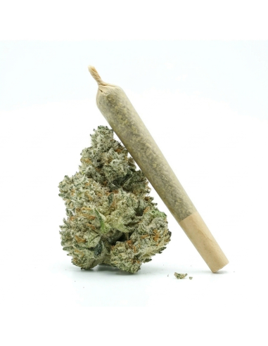 Pré-Roulé THCX Vanilla Kush | Achat Joint Légal Indica