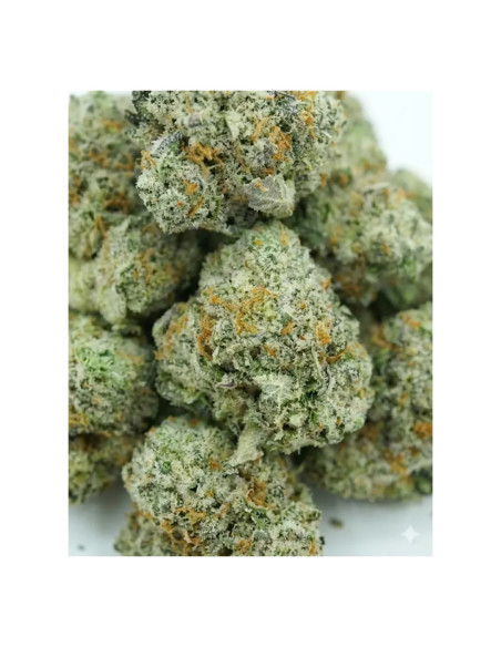 Pré-Roulé THCX Vanilla Kush | Achat Joint Légal Indica