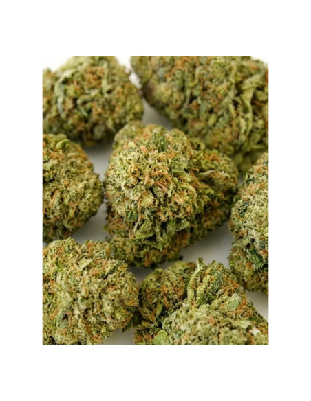 THCX Blüte Zkittlez | Fruchtige Explosion & Entspannung (≤0,3% THC)