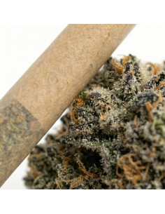 Pre-Roll THCX Bubba Kush main 2