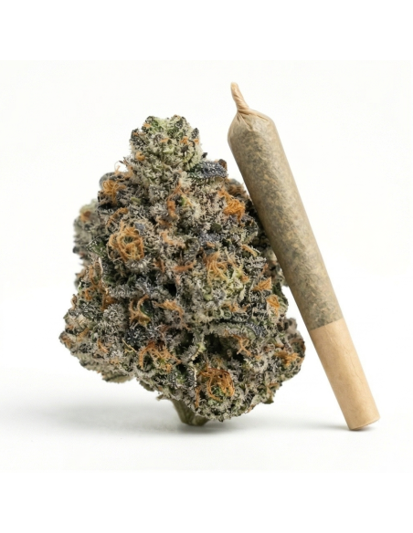 Pré-Roulé THCX Bubba Kush | Achat Joint Légal Indica