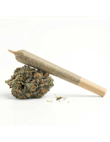 Pre-Roll THCX Bubba Kush main